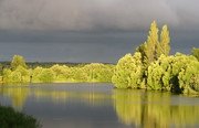 Раздолье. Фото 6861.