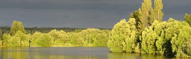 Раздолье. Фото 6861.