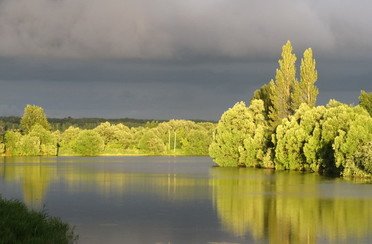 Раздолье. Фото 6861.