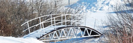 Раздолье. Фото 6867.