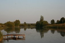 Раздолье. Фото 6870.