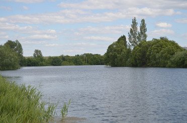 Раздолье. Фото 6873.