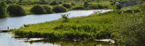 Раздолье. Фото 6874.