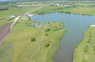 Белый лис. Фото 6894.