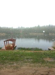 Косачи. Фото 6906.