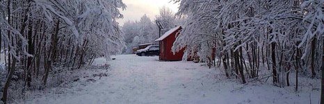 Косачи. Фото 6917.