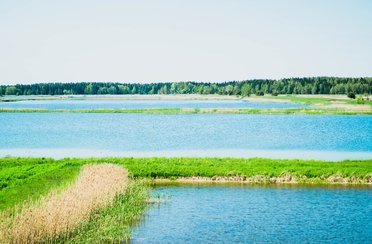 Хотово. Фото 6936.