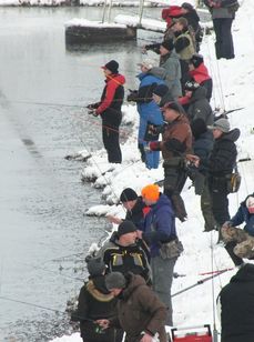 Щарка. Фото 6943.