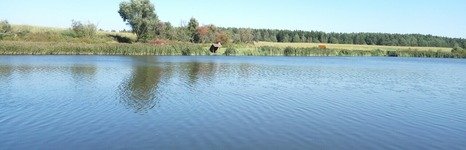 Синявка. Фото 6956.
