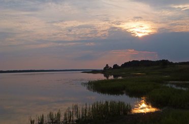 Экомир. Фото 6963.