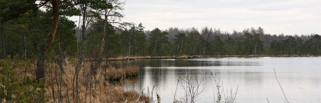 Экомир. Фото 6965.