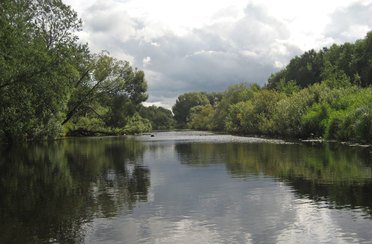 Экомир. Фото 6967.