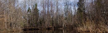 Экомир. Фото 6970.