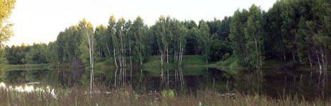 Коптево. Фото 7007.