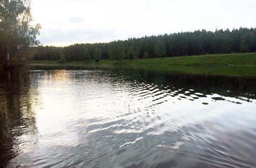 Коптево. Фото 7008.