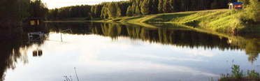 Коптево. Фото 7010.