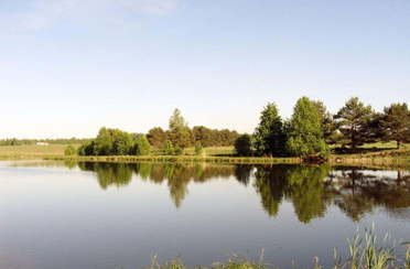 Козлы. Фото 7020.