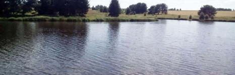 Козлы. Фото 7026.