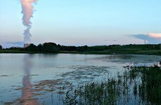 Трифонова Сельга. Фото 7035.