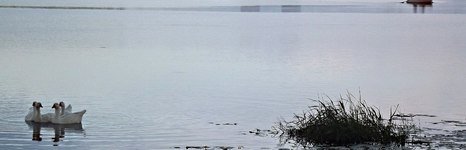 Трифонова Сельга. Фото 7041.