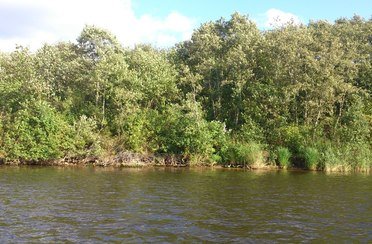 Трифонова Сельга. Фото 7044.
