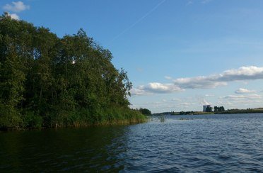 Трифонова Сельга. Фото 7045.