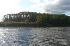 Трифонова Сельга. Фото 7046.