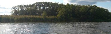 Трифонова Сельга. Фото 7046.