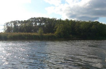 Трифонова Сельга. Фото 7046.