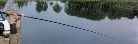 Сосница. Фото 7056.