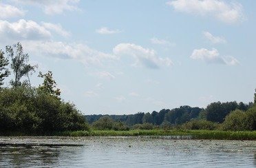 Берег мечты. Фото 7069.