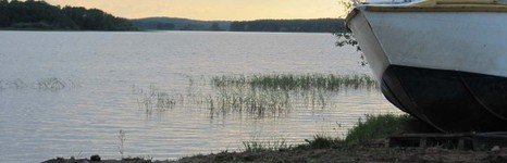 Здешево. Фото 7091.