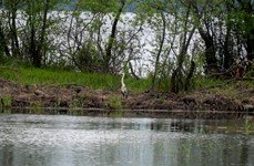 Здешево. Фото 7095.