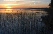 Здешево. Фото 7096.