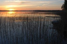 Здешево. Фото 7096.