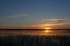 Здешево. Фото 7097.