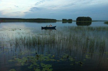 Здешево. Фото 7098.