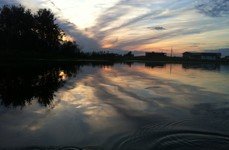 Здешево. Фото 7101.