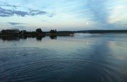 Здешево. Фото 7102.