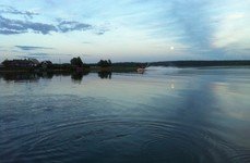 Здешево. Фото 7102.