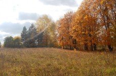 Здешево. Фото 7104.