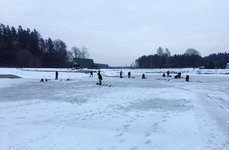 Пертиники. Фото 7114.