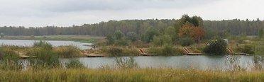Генезис. Фото 7126.