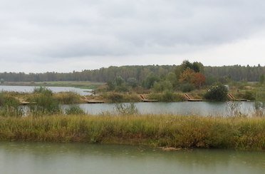 Генезис. Фото 7126.