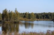 Охотничье-рыболовное хозяйство Экомир. Фото 7151.
