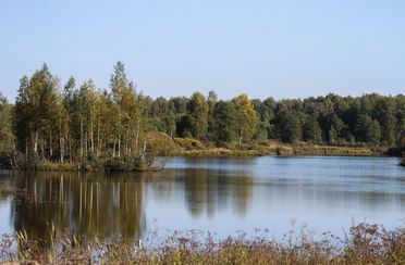 Охотничье-рыболовное хозяйство Экомир. Фото 7151.