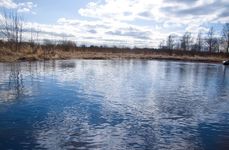 Охотничье-рыболовное хозяйство Экомир. Фото 7153.