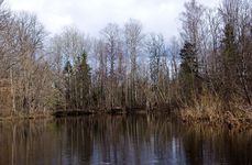 Охотничье-рыболовное хозяйство Экомир. Фото 7154.