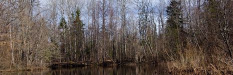 Охотничье-рыболовное хозяйство Экомир. Фото 7154.