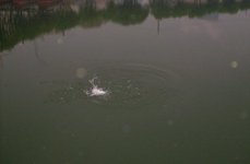 КЛЁВое озеро. Фото 726.